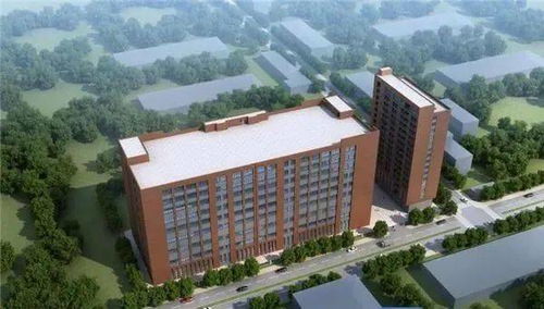 總投資超71億元 東莞這個鎮要爆發了...